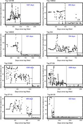 Age of First Territory Settlement of Golden Eagles Aquila chrysaetos in a Variable Competitive Landscape
